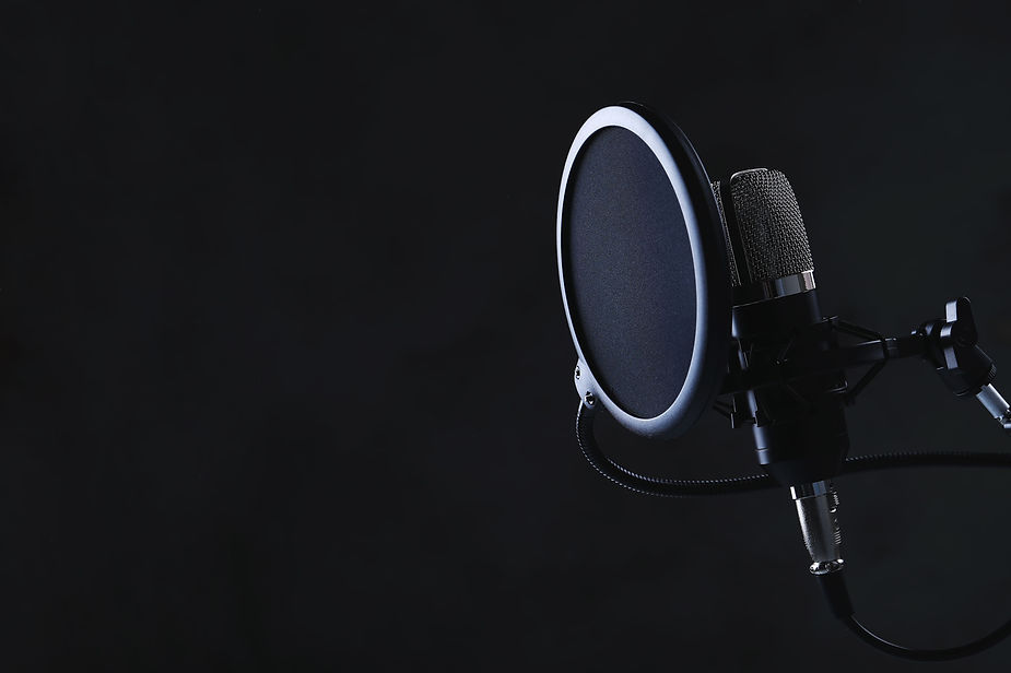 Micrófono Condensador Técnica Vocal